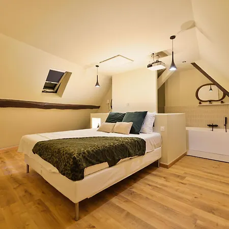 Ih La Olive I Duplex Avec Jacuzzi Privatif à I Proche Paris * Étampes