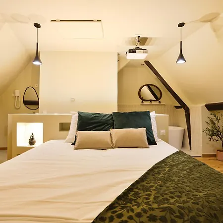 Ih La Olive I Duplex Avec Jacuzzi Privatif A I Proche Paris * Étampes
